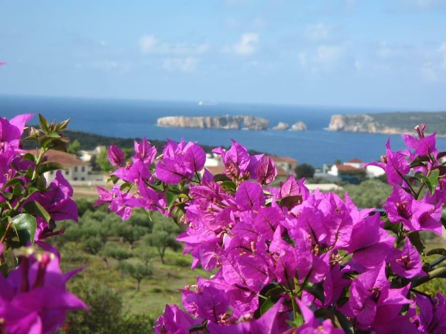 Gianna'S Guesthouse Pylos Exterior photo